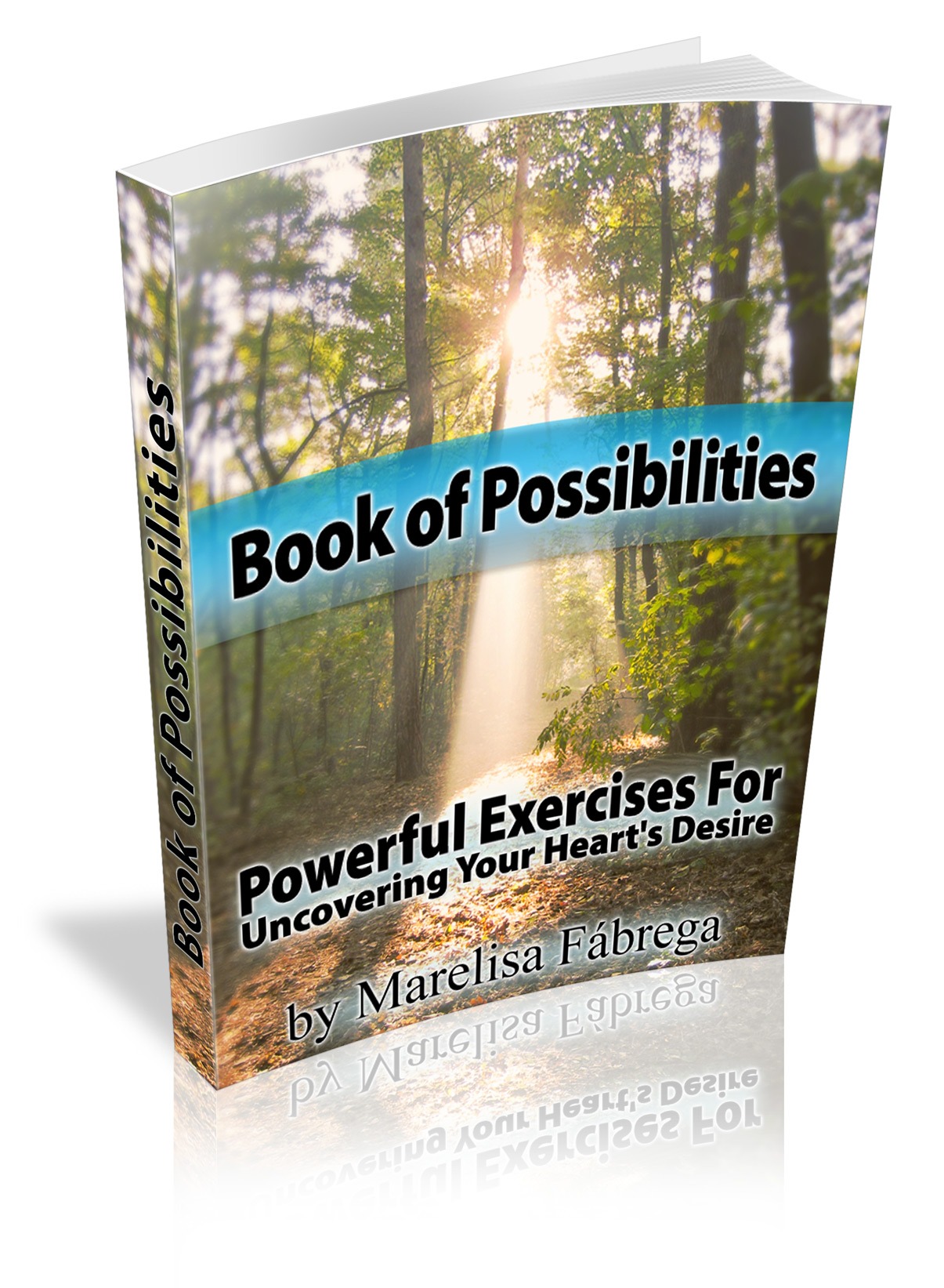bookofpossibilities-large