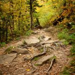 Appalachian Trail