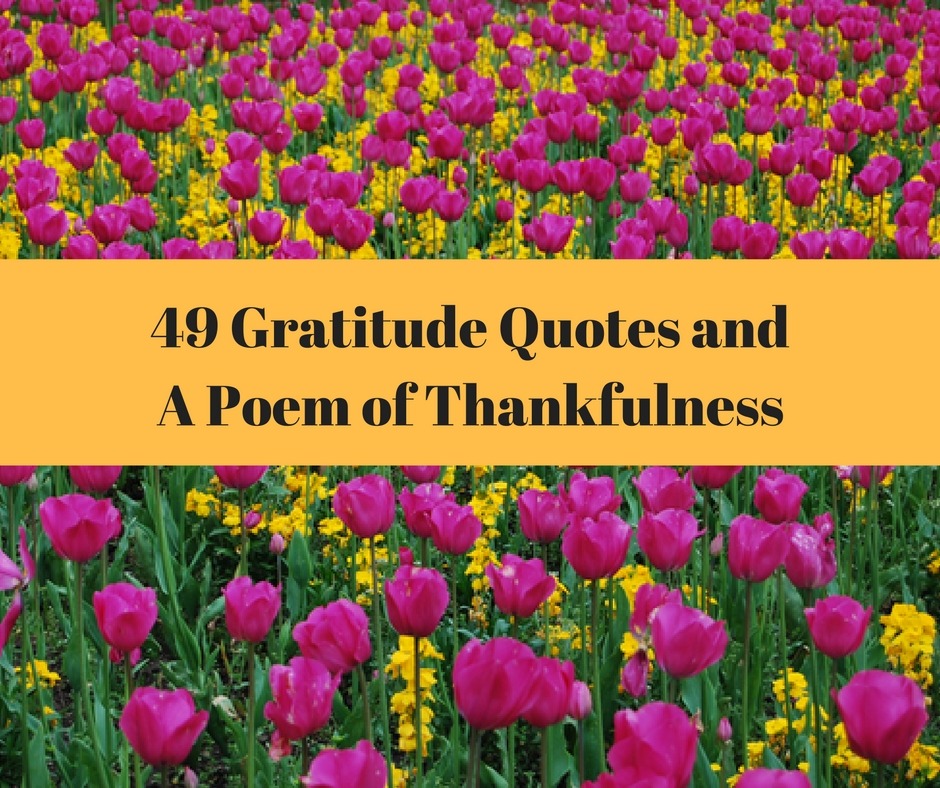 Download 49 Gratitude Quotes and A Poem of Thankfulness