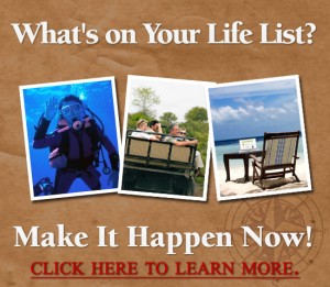 howtolive-550x480