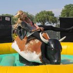 mechanical bull