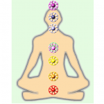 seven chakras