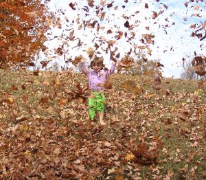 Lista dei desideri dell'autunno: saltare in un mucchio di foglie