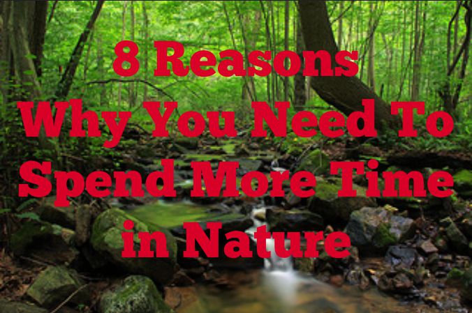 8 Reasons Why You Need To Spend More Time in Nature 