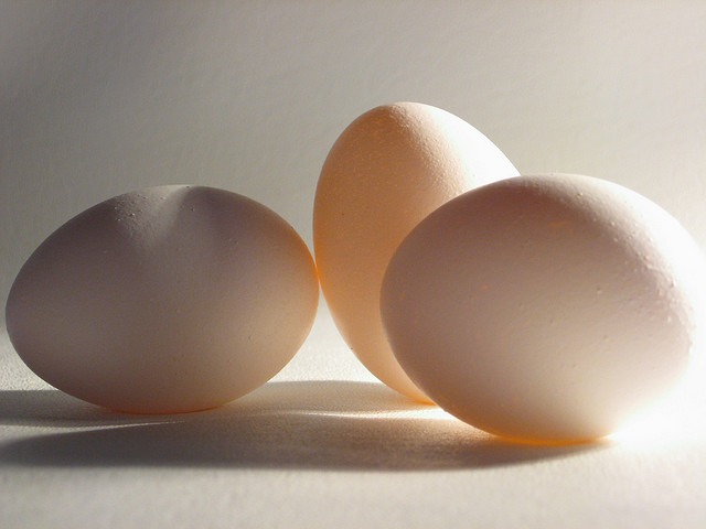 eggs