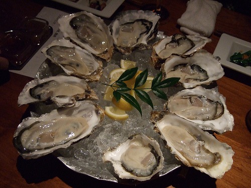 oysters