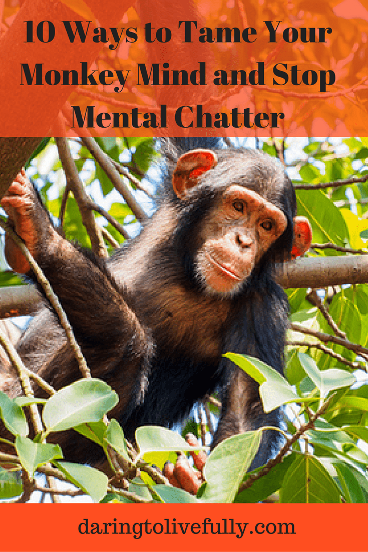 10 Ways To Tame Your Monkey Mind And Stop Mental Chatter