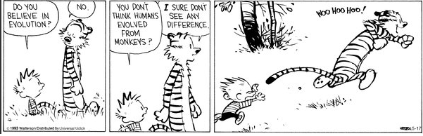 Calvin & Hobbes